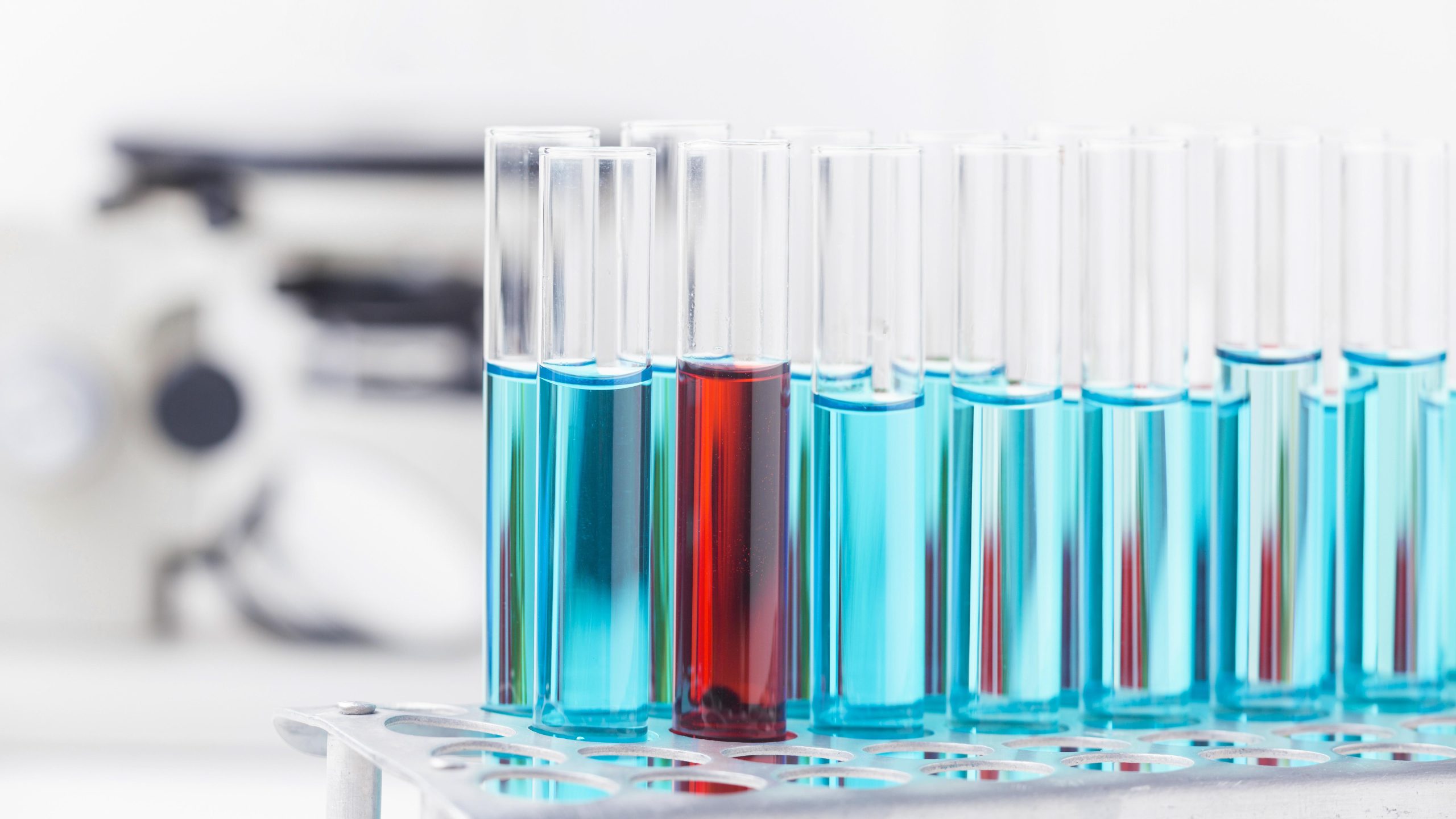 Lab