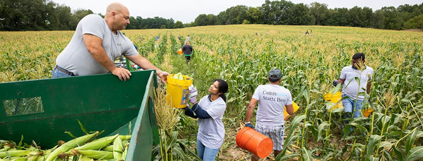 Contoh Gambar Menyeimbangkan Profitabilitas dengan Tanggung Jawab Sosial dan Lingkungan